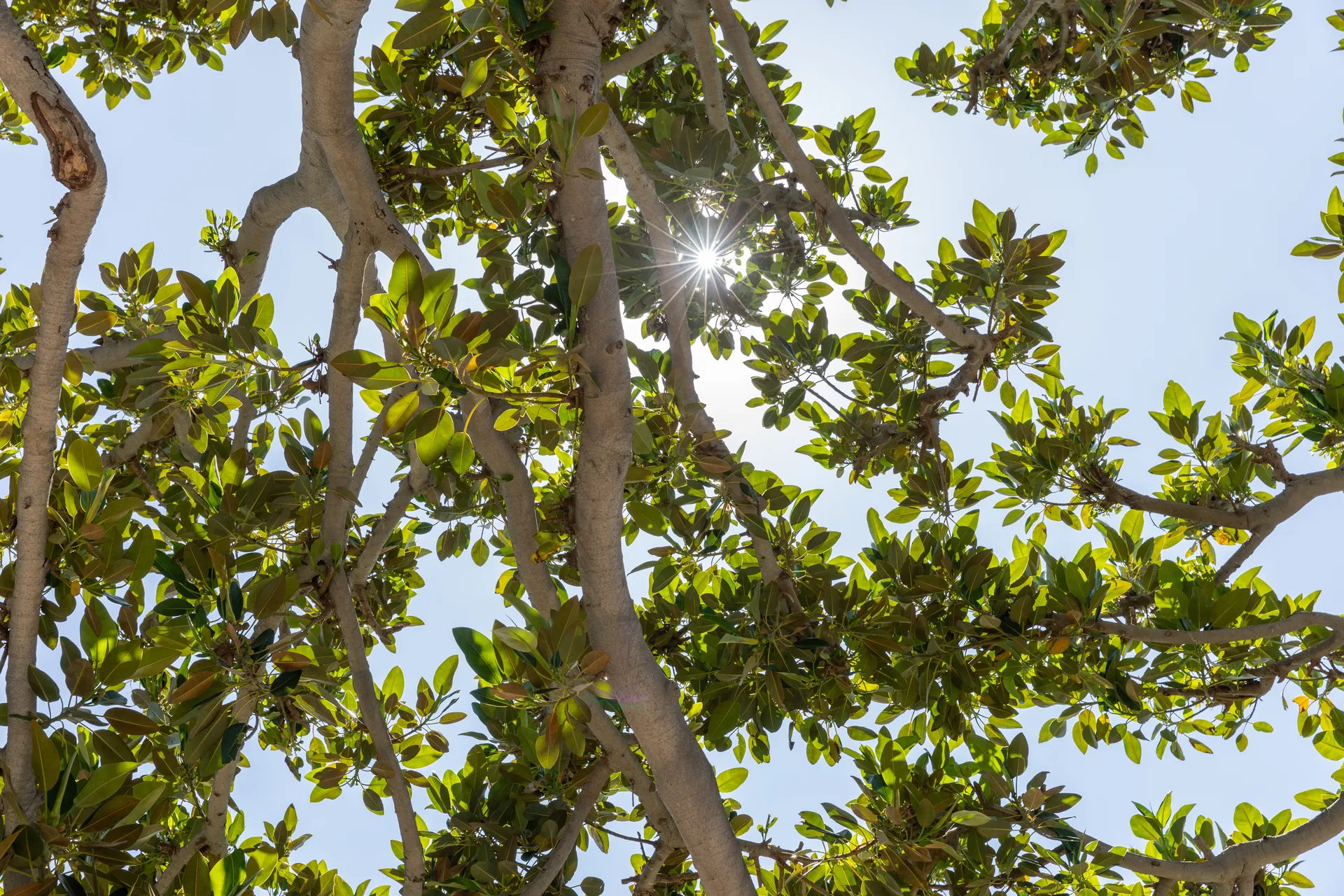 Architectural photograph from the architectural monarch dana point project