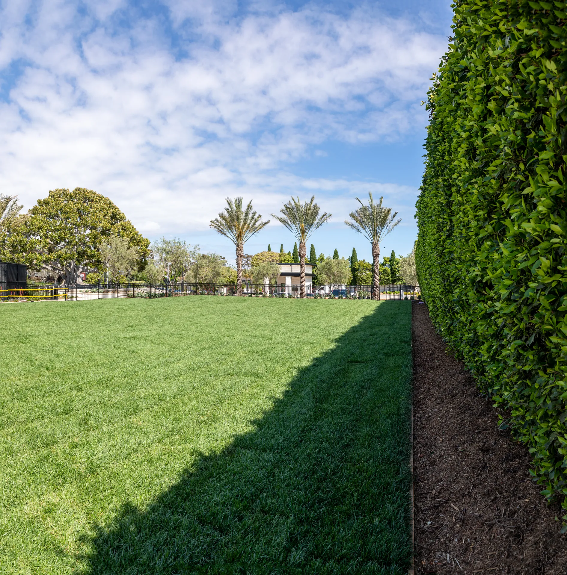 Architectural photograph from the architectural monarch dana point project