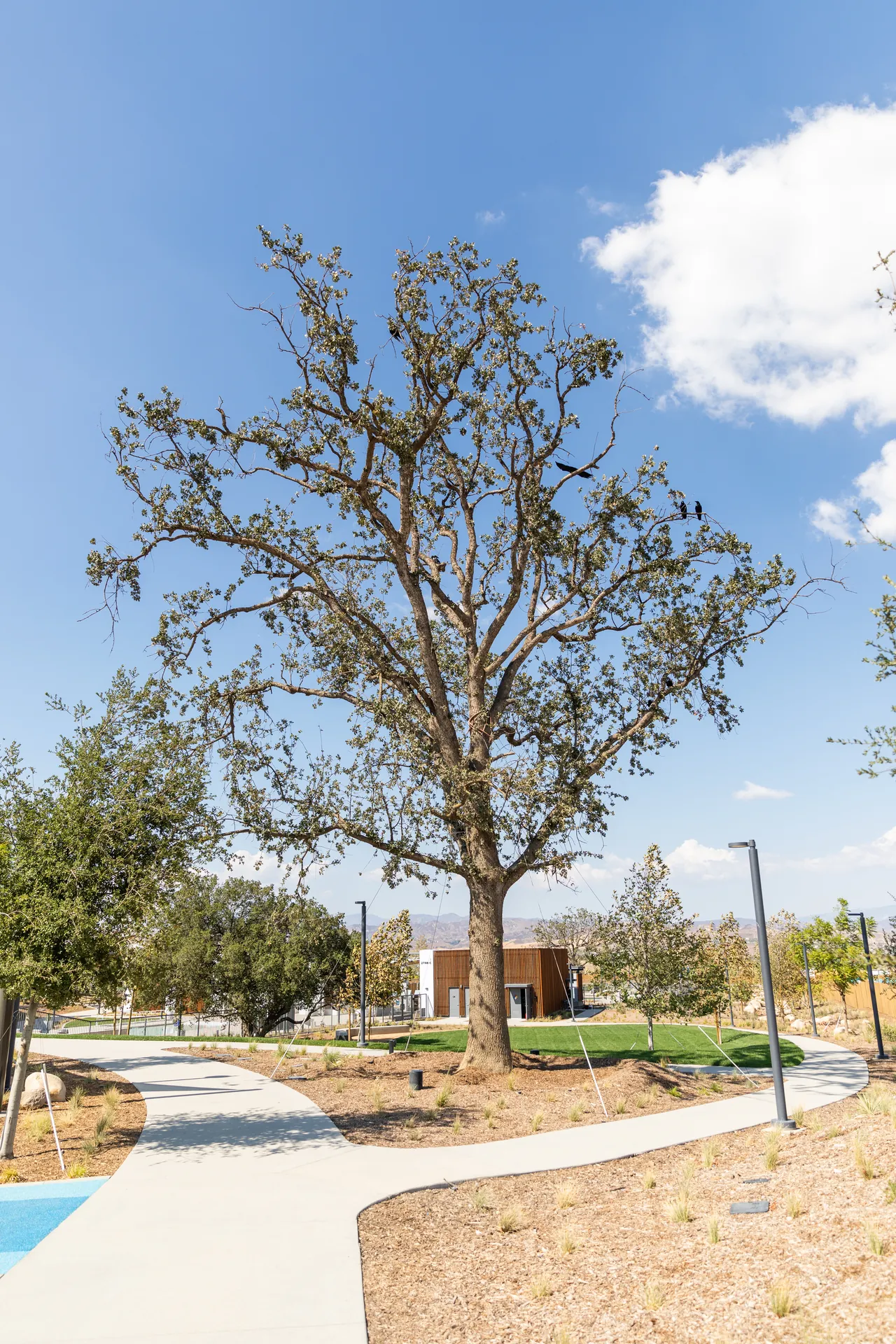 Architectural photograph from the confluence park santa clarita project
